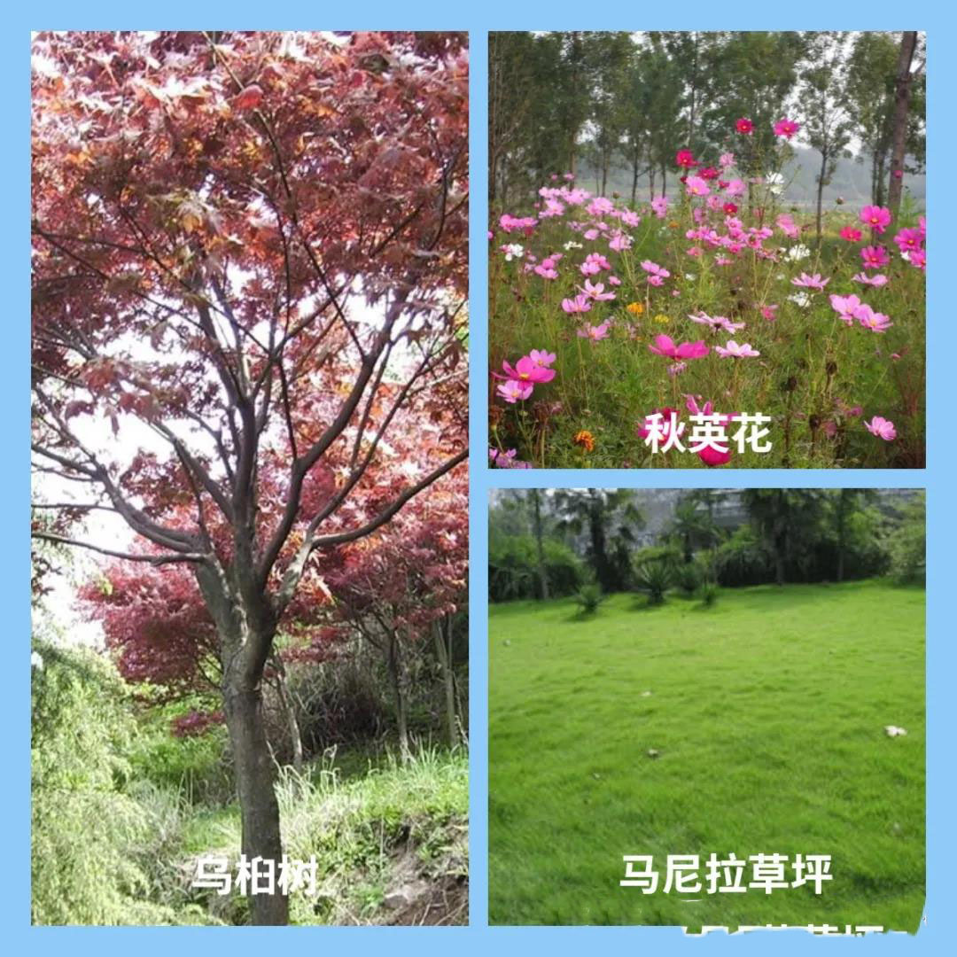 微信圖片_20211112170733.jpg
